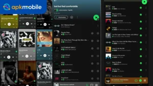 Spotify Premium 2