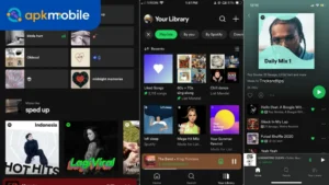 Spotify Premium 1