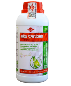 Thiet ke chua co ten