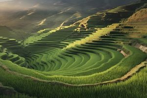 pngtree mountain rice terraces sustainable farming natural beauty image 16901658